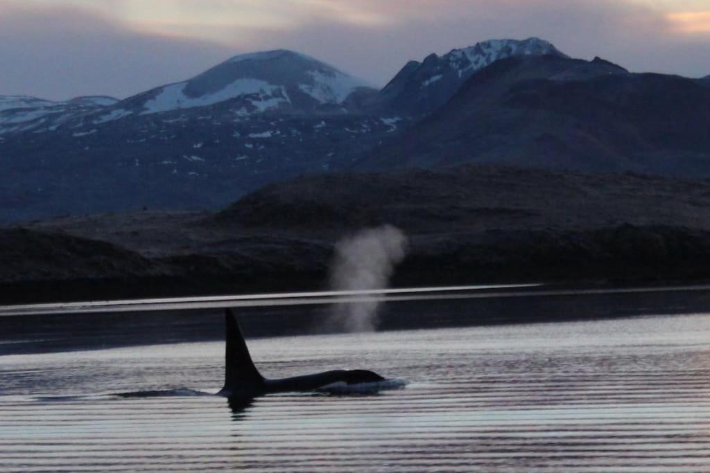 Tanginn Stykkishólmur Exteriér fotografie